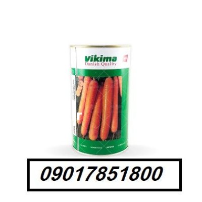 فروش بذر هویج نانتس ویکیما VIKIMA در ارومیه در گروه خرید و فروش بذر هویج در یکمیوه -عکس1
