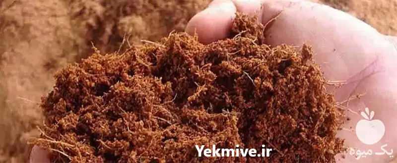 فروش ارسال خاک کوکوپیت به تمام در تهران در گروه خرید و فروش انواع کود کشاورزی در یکمیوه -عکس1