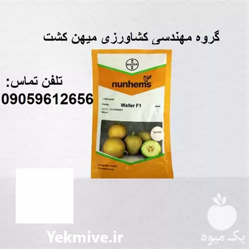 فروش بذر ملون والر در زاهدان در گروه خرید و فروش بذر ملون در یکمیوه -عکس1