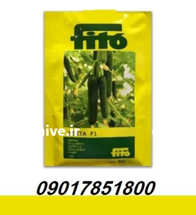 فروش بذر خیار گلخانه ای یکتا در ارومیه در گروه خرید و فروش بذر خیار در یکمیوه -عکس1