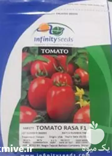 قیمت خرید بذر گوجه راسا اصل در کرمانشاه در گروه خرید و فروش بذر گوجه در یکمیوه -عکس1
