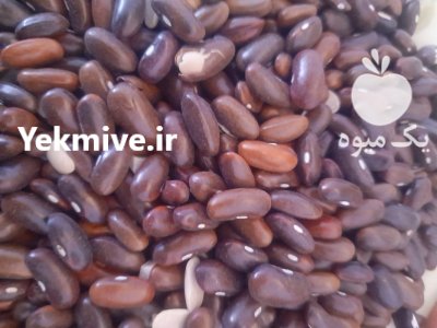 فروش بذر لوبیا در هشتبندی در گروه خرید و فروش غلات و حبوبات در یکمیوه -عکس1