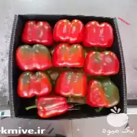 عمده فلفل دلمه رنگی صادراتی در اصفهان در گروه خرید و فروش فلفل در یکمیوه