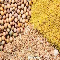 فروش دوره کارگاه جیره نویسی دام طیور در تهران در گروه دوره آموزش کشاورزی در یکمیوه