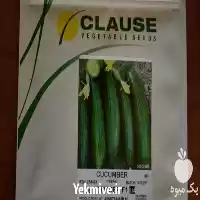 قیمت خرید بذر خیار کلوز در مشهد در گروه خرید و فروش بذر خیار در یکمیوه