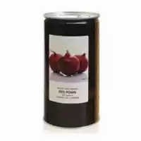 فروش بذر پیاز رد روبین کانیون در گروه خرید و فروش بذر پیاز در یکمیوه