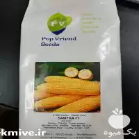 قیمت خرید بذر ذرت شیرین سمیرا در تهران در گروه خرید و فروش بذر ذرت در یکمیوه