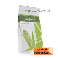 قیمت خرید بذر ذرت اکسن چوئیت در گروه خرید و فروش بذر ذرت در یکمیوه