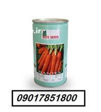 فروش بذر هویج نانتس الیت Elite در ارومیه در گروه خرید و فروش بذر هویج در یکمیوه