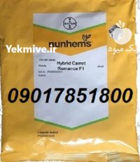 فروش بذر هویج رومانس Romance نانهمز در ارومیه در گروه خرید و فروش بذر هویج در یکمیوه