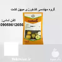 فروش بذر ملون والر در زاهدان در گروه خرید و فروش بذر ملون در یکمیوه