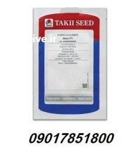 فروش بذر خیار گلخانه ای آلوین در گروه خرید و فروش بذر خیار در یکمیوه