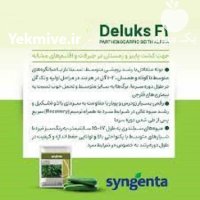 فروش بذر خیار گلخانه ای دیلاکس در ارومیه در گروه خرید و فروش بذر خیار در یکمیوه