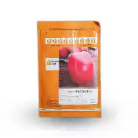 فروش بذر گوجه ناتالی در زاهدان در گروه خرید و فروش بذر گوجه در یکمیوه