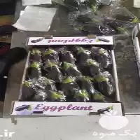 قیمت خرید عمده بادمجان لامپی صادراتی در گروه خرید و فروش بادمجان در یکمیوه