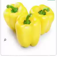 فروش بذر فلفل دلمه کایروئی در ارومیه در گروه خرید و فروش بذر فلفل در یکمیوه