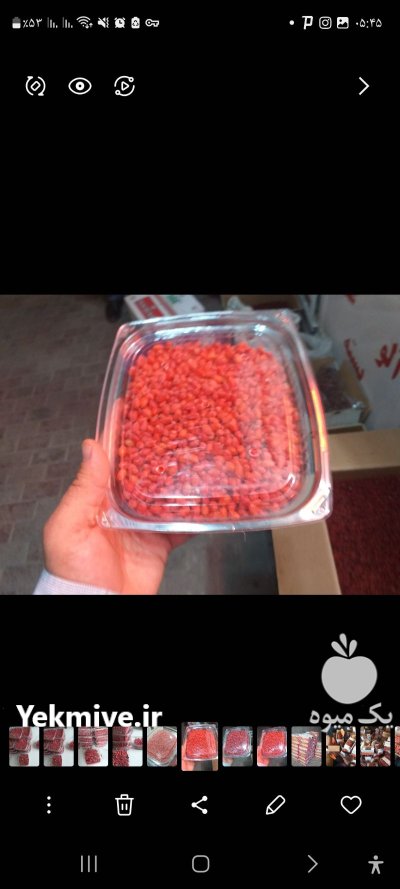 عناب تازه پسته تازه زرشک تازه در قائن در گروه خرید و فروش گیاهان دارویی در یکمیوه -عکس1