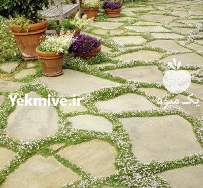 اجرای سنگ لاشه در تهران فروش در رودهن در گروه سازنده در یکمیوه -عکس2