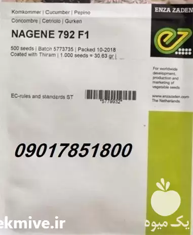 قیمت خرید بذر خیار NAGENE F 1 در تهران در گروه خرید و فروش بذر خیار در یکمیوه -عکس1