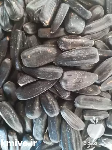 قیمت خرید پخش انواع تخمه سیاه در اراک در گروه خرید و فروش انواع تخمه در یکمیوه -عکس1