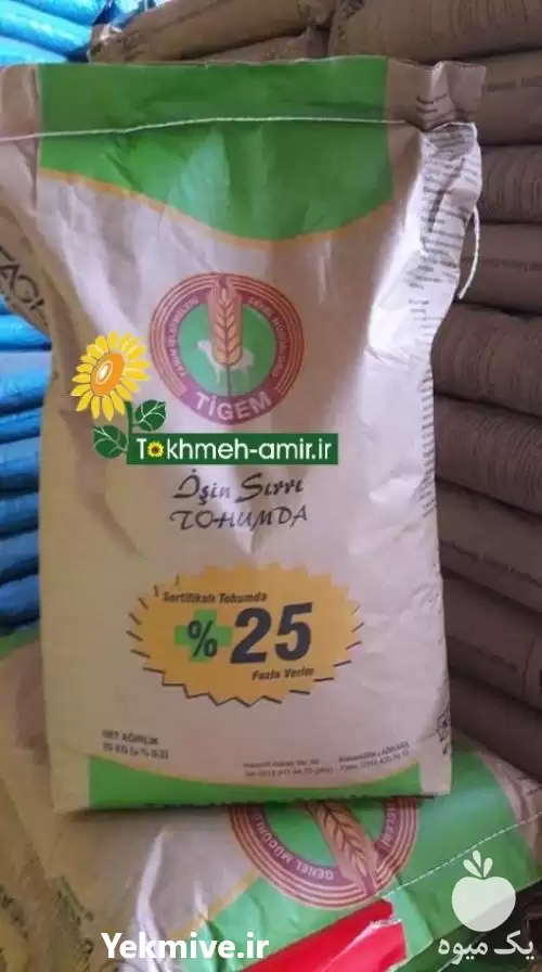 قیمت خرید 	بذرهیبرید گندم در تهران در گروه خرید و فروش گندم و جو در یکمیوه -عکس1