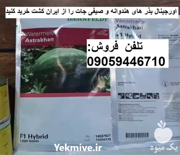 فروش بذر هندوانه آستاراخان F 1 در گرگان در گروه خرید و فروش بذر هندوانه در یکمیوه -عکس1