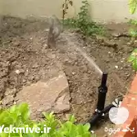 قیمت خرید اجری آبیاری هوشمند آبیاری در ساری در گروه خرید و فروش دستگاه آبیاری در یکمیوه