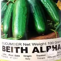 بذر خیار بیت آلفا فروش در تهران در گروه خرید و فروش بذر خیار در یکمیوه