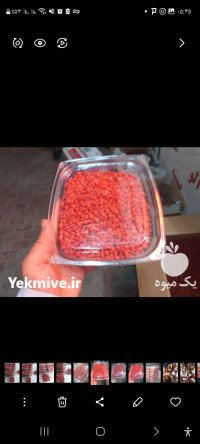 عناب تازه پسته تازه زرشک تازه در قائن