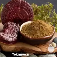 فروش پودر قارچ گانودرما در گروه خرید و فروش قارچ در یکمیوه