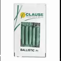 فروش بذر خیار گلخانه ای بالستیک در گروه خرید و فروش بذر خیار در یکمیوه