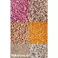 قیمت خرید محصولات کشاورزی و حبوبات در خرم‌ آباد در گروه خرید و فروش محصولات کشاورزی در یکمیوه