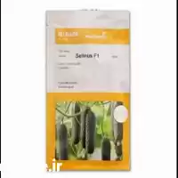 قیمت خرید بذر خیار خاردار گلخانه در گروه خرید و فروش بذر خیار در یکمیوه