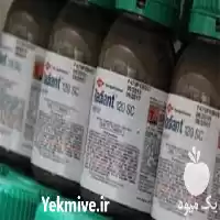 قیمت خرید حشره کش رادیانت در گروه خرید و فروش انواع سم در یکمیوه