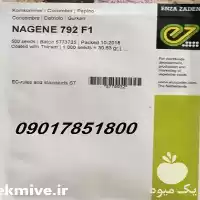 قیمت خرید بذر خیار NAGENE F 1 در تهران در گروه خرید و فروش بذر خیار در یکمیوه