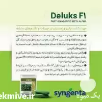 فروش بذر خیار گلخانه ای دیلاکس در تهران در گروه خرید و فروش بذر خیار در یکمیوه