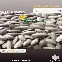 قیمت خرید 	پخش عمده تخمه کدومشهدی در تهران در گروه خرید و فروش انواع تخمه در یکمیوه