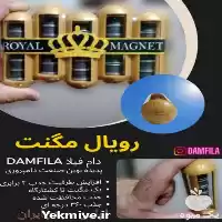 قیمت خرید 	رویال مگنت در گروه تجهیزات دامداری در یکمیوه