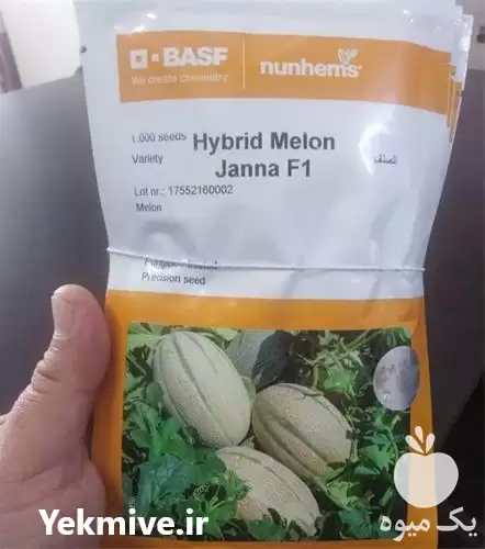 فروش بذر ملون جاناF 1 در گروه خرید و فروش بذر ملون در یکمیوه -عکس1