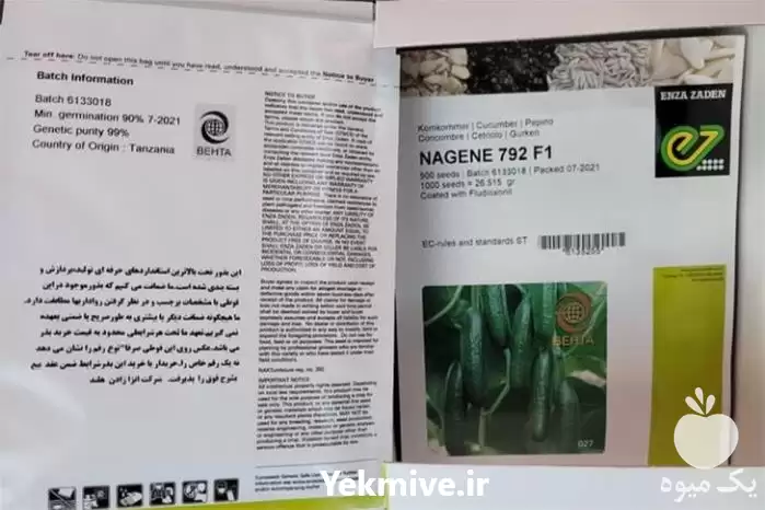 فروش بذر خیار ناگین 792 اصلی در گروه خرید و فروش بذر خیار در یکمیوه -عکس1