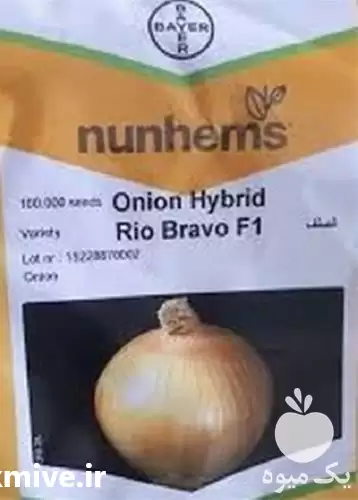 فروش بذر پیاز ریوبراوو در کرمان  در گروه خرید و فروش بذر پیاز در یکمیوه -عکس1