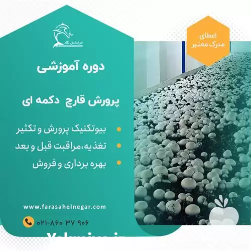 آموزش قارچ دکمه ای با تجربیات در تهران در گروه دوره آموزش کشاورزی در یکمیوه -عکس1