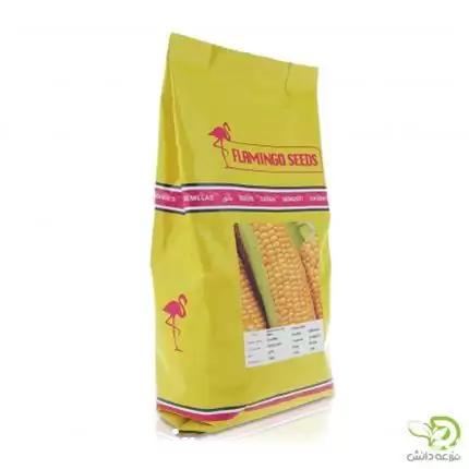 قیمت خرید بذر ذرت فلامینگو در یزد در گروه خرید و فروش بذر ذرت در یکمیوه -عکس1