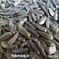 فروش عمده تخمه کدو و تخمه در بابلسر در گروه خرید و فروش انواع تخمه در یکمیوه