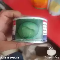 قیمت خرید عرضه بذر کلم پیچ در تهران در گروه خرید و فروش بذر صیفی جات در یکمیوه