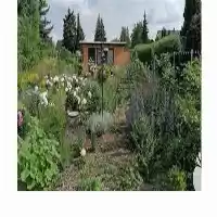 مشاوره در زمینه کشاورزی اعم در گروه مشاوره گیاه پزشکی در یکمیوه