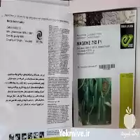 فروش بذر خیار ناگین 792 اصلی در گروه خرید و فروش بذر خیار در یکمیوه