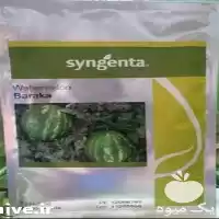 فروش بذر هندوانه باراکا در یزد در گروه خرید و فروش بذر هندوانه در یکمیوه