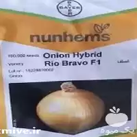 فروش بذر پیاز ریوبراوو در کرمان  در گروه خرید و فروش بذر پیاز در یکمیوه