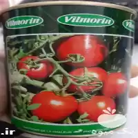 فروش بذر گوجه فرنگی ویلمورین در گروه خرید و فروش بذر گوجه در یکمیوه